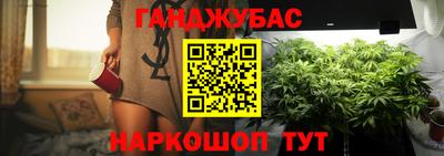 mdpv Новодвинск